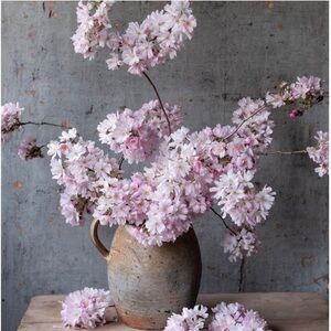 🌸 Thank you! 🌸